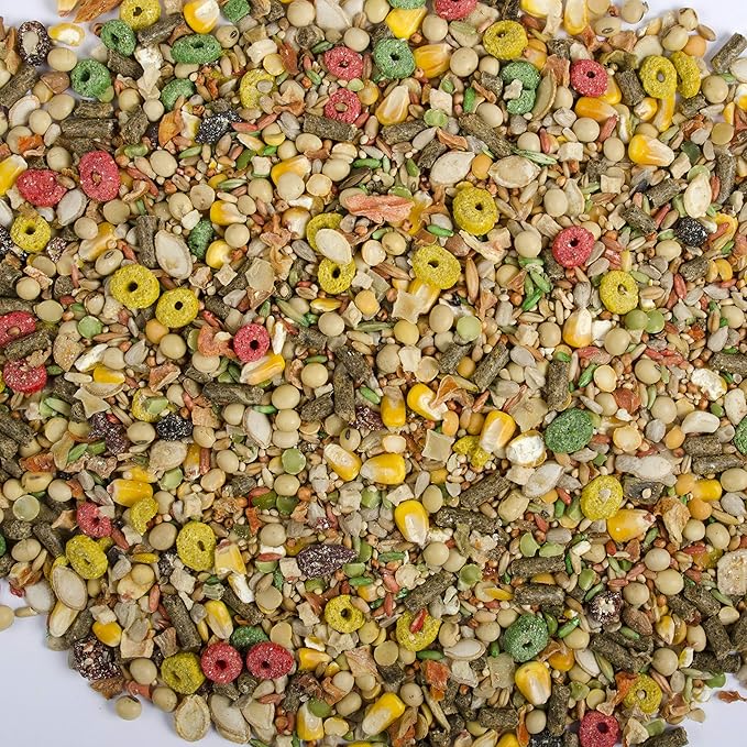 Wild Harvest Hamster and Gerbil Advanced Nutrition Diet, 4-Pound, Multicolor, One Size (E1950W), 4 pounds (Pack of 2) Wild+Harvest