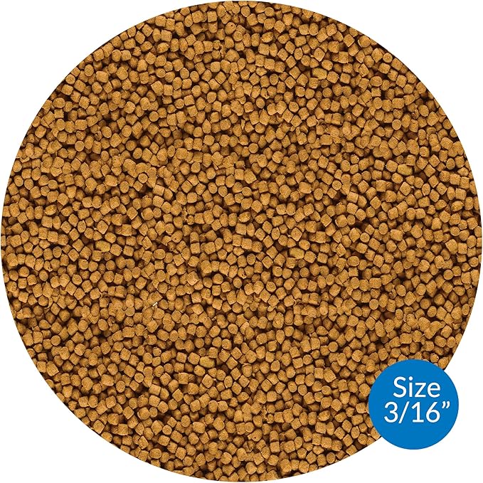 API POND FISH FOOD Pond Fish Food 1.56-Pound Bag API