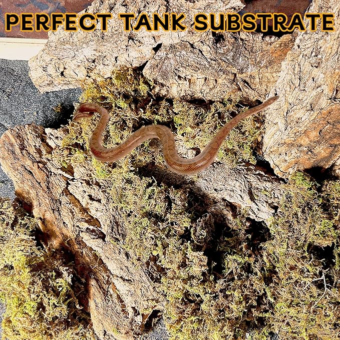 BNOSDM Reptile Terrarium Bark Substrate Bedding Tortoise Natural Cork Bark Reptile Climbing Mat Habitat Decor for Lizard Snake Spiders Hermit Crabs Tarantula Geckos Bearded Dragons (1.4 LB) BNOSDM