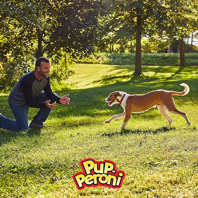 Pup-Peroni Dog Treats, Filet Mignon & Bacon Flavors, 22.5 Ounce, Made with Real Steak - PAWPICO