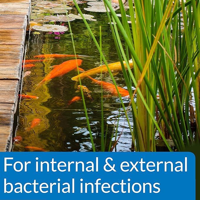 API POND PIMAFIX Antifungal Pond Fish Infection Remedy 64-Ounce Bottle API