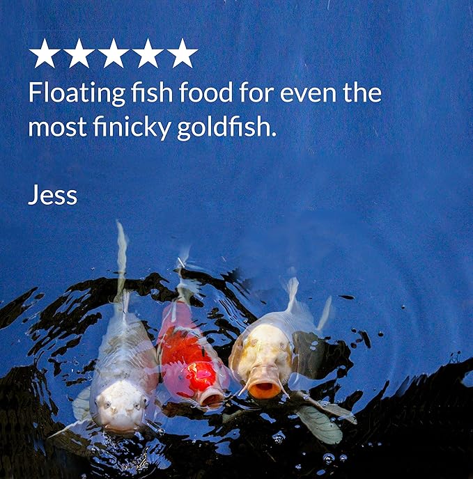 API POND FISH FOOD Pond Fish Food 2.68-Pound Bag API