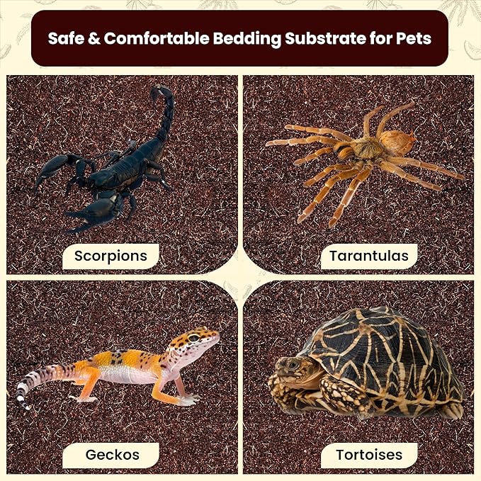 ReptiCare Coconut Fiber Substrate for Reptiles 12 Q, Organic Ready to Use - Odor Absorbent Coco Coir Terrarium Bedding for Ball Pythons, Boas, Snakes, Tortoises, Geckos, Frogs and Tarantulas Gro-Med