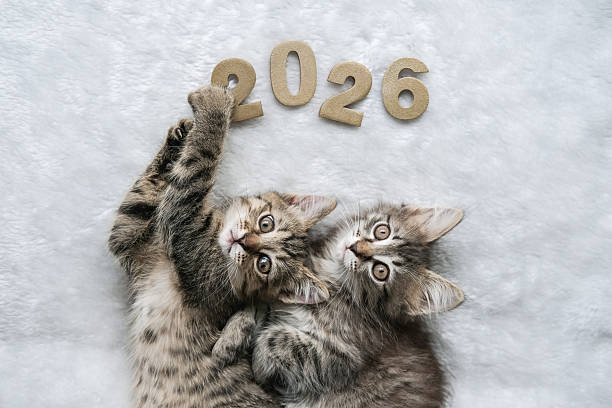 2026 Pet Wellness Trends PAWPICO
