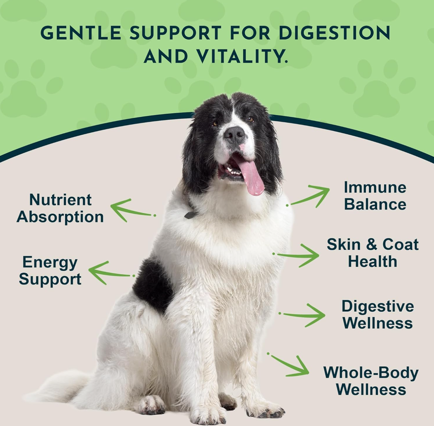 Animal Essentials Herbal Green Alternative for Dogs & Cats - Super Greens Powder Herbal Supplement with Spirulina, Antioxidants, Chlorophyll - 12 Oz AnimalEssentials