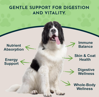 Animal Essentials Herbal Green Alternative for Dogs & Cats - Super Greens Powder Herbal Supplement with Spirulina, Antioxidants, Chlorophyll - 12 Oz AnimalEssentials