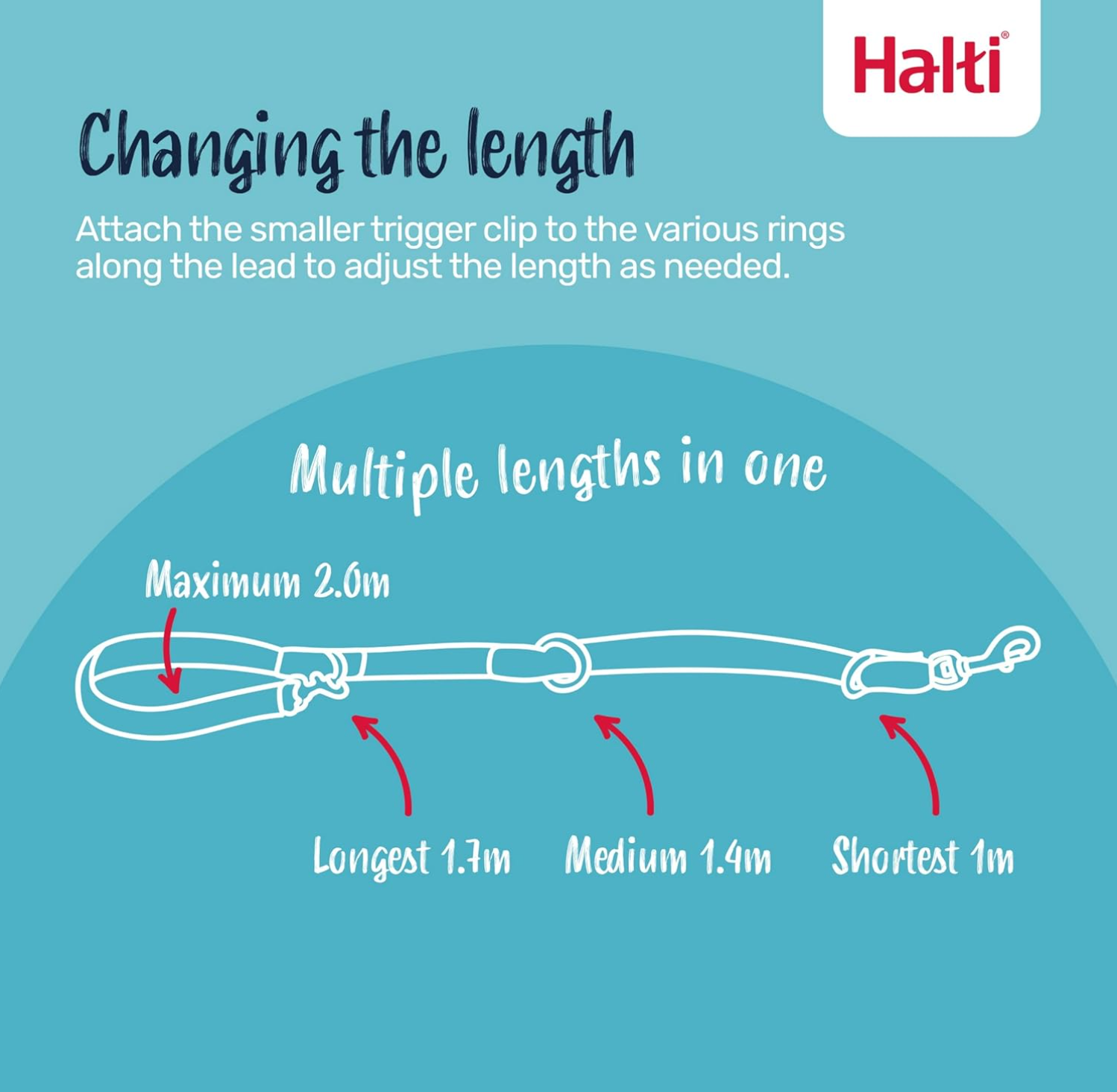 Halti Training Leash - Multifunctional Double-Ended Dog Leash, Ideal for Anti-Pulling Dog Training. Lightweight, Soft & Durable. Suitable for Puppies and Small Dogs (Size Small, Red, 2m) CompanyofAnimals