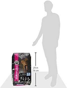 Eukanuba Adult Large Breed Dry Dog Food, 16 lb - PAWPICO