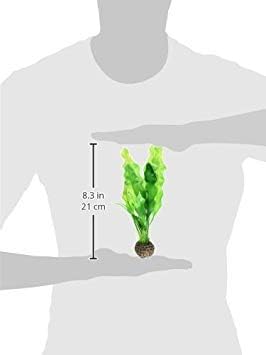 biOrb Easy Plant Pack, Small (Pack of 2) biOrb