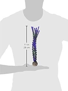 biOrb Blue/Purple Plant Pack Medium biOrb