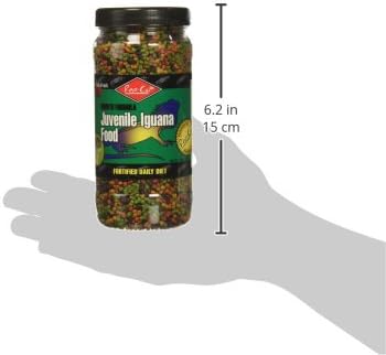 Rep-Cal SRP00801 Juvenile Iguana Food, 7-Ounce Rep-Cal