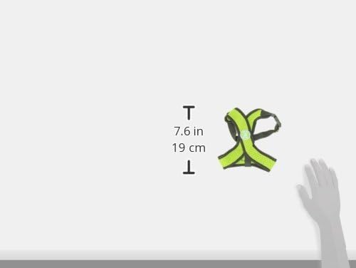 Gooby Comfort X Head In Harness - Green, Medium - No Pull Small Dog Harness Patented Choke-Free X Frame - Perfect on the Go Dog Harness for Medium Dogs No Pull or Small Dogs for Indoor and Outdoor Use Gooby