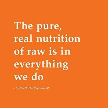 Instinct Raw Boost Small Breed Grain Free Recipe with Real Beef Natural Dry Dog Food, 10 lb. Bag - PAWPICO