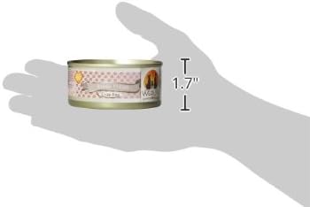 Weruva Classic Dog Food, Steak Frites with Beef, Pumpkin & Sweet Potato in Gravy, 5.5oz Can (Pack of 24) - PAWPICO