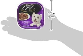 CESAR Filets in Gravy Adult Wet Dog Food, Filet Mignon Flavor, 3.5 oz. Easy Peel Trays, Pack of 24 - PAWPICO