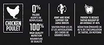 Eukanuba Adult Large Breed Dry Dog Food, 16 lb - PAWPICO