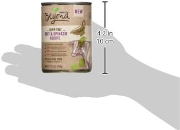 Purina Beyond Grain Free, Natural Gravy Wet Dog Food, Grain Free Beef & Spinach Recipe - (12) 12.5 oz. Cans - PAWPICO