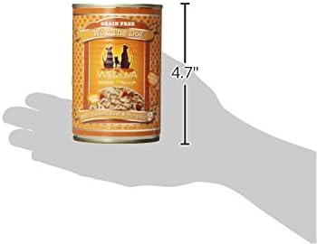 Weruva Classic Dog Food, Wok The Dog with Chicken Breast, Beef & Pumpkin in Gravy, 14oz Can (Pack of 12), Brown - PAWPICO