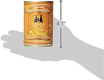 Weruva Classic Dog Food, Jammin' Salmon with Chicken & Salmon in Gravy, 14oz Can (Pack of 12), Red (Jammin’ Salmon) - PAWPICO
