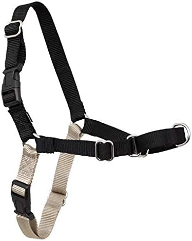 PetSafe Easy Walk No-Pull Dog Harness - The Ultimate Harness to Help Stop Pulling - Take Control & Teach Better Leash Manners - Helps Prevent Pets Pulling on Walks, Large, Black/Silver PetSafe