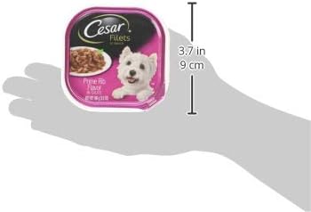CESAR Adult Wet Dog Food Filets in Gravy Prime Rib Flavor, 3.5 oz. Easy Peel Trays, Pack of 24 - PAWPICO