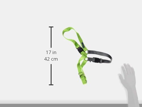 PetSafe Easy Walk No-Pull Dog Harness - The Ultimate Harness to Help Stop Pulling - Take Control & Teach Better Leash Manners - Helps Prevent Pets Pulling on Walks, Large, Apple Green/Gray PetSafe