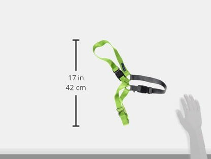 PetSafe Easy Walk No-Pull Dog Harness - The Ultimate Harness to Help Stop Pulling - Take Control & Teach Better Leash Manners - Helps Prevent Pets Pulling on Walks, Large, Apple Green/Gray PetSafe