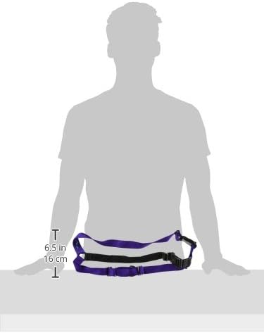 PetSafe Easy Walk No-Pull Dog Harness - The Ultimate Harness to Help Stop Pulling - Take Control & Teach Better Leash Manners - Helps Prevent Pets Pulling on Walks, Large, Deep Purple/Black PetSafe