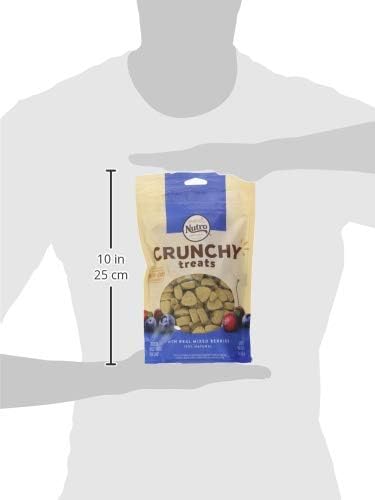 NUTRO Crunchy Dog Treats with Real Mixed Berries, 10 oz. Bag - PAWPICO
