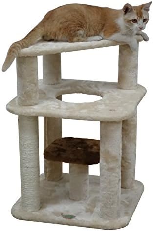 Go Pet Club Everyday Value 26in Small Corner Cat Tree Kitty Scratcher Kitten Condo Tower House Furniture for Indoor Cats, Beige - PAWPICO