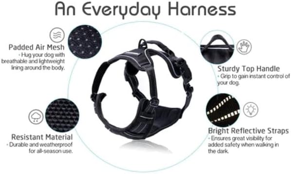 rabbitgoo Dog Harness No Pull with 2 Leash Clips, Adjustable Soft Padded, Reflective Oxford No Choke Pet Vest with Easy Control Handle for Large Dogs, Black, L rabbitgoo