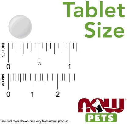 NOW Foods Pet Health, G.I. Support Supplement, Formulated for Cats & Dogs, NASC Certified, 90 Chewable Tablets NOW