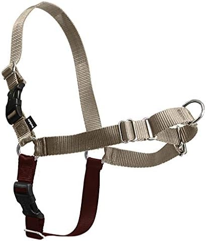 PetSafe Easy Walk No-Pull Dog Harness - The Ultimate Harness to Help Stop Pulling - Take Control & Teach Better Leash Manners - Helps Prevent Pets Pulling on Walks, Large, Fawn/Brown PetSafe