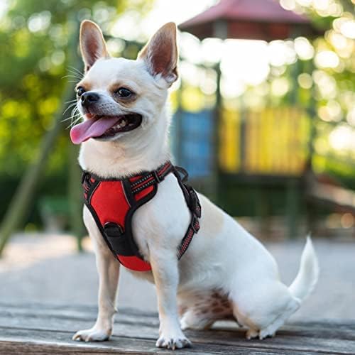 rabbitgoo Dog Harness No Pull with 2 Leash Clips, Adjustable Soft Padded, Reflective Oxford No Choke Pet Vest with Easy Control Handle for Puppy, Red,XS rabbitgoo