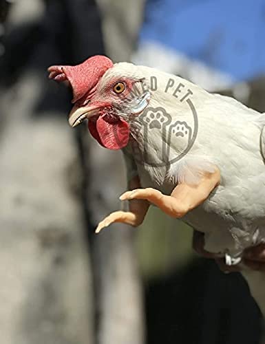 T-Rex Flesh The Original Chicken Arms Made in Texas America Put on Chickens to Wear Trex Raptor Dinosaur Claw Chicken Funny Toys Photo Props Novelty Gift for Viral Photos, 3D Printed Meme Fighting ArmedPet