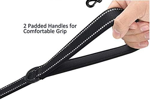 Heavy Duty Dog Leash - 2 Handles by Padded Traffic Handle for Extra Control, 6foot Long - Perfect for Medium to Large Dogs (Purple, 6 ft) JEWOSTER