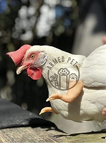 T-Rex Flesh The Original Chicken Arms Made in Texas America Put on Chickens to Wear Trex Raptor Dinosaur Claw Chicken Funny Toys Photo Props Novelty Gift for Viral Photos, 3D Printed Meme Fighting ArmedPet