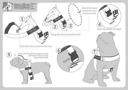 BULLHUG Harness – Made for Larger Chested Dogs Like English Bulldogs, French Bulldogs, Pugs & More. Stops Dogs from Pulling & Choking on Walks (Red and Blue Plaid, Large) BULLHUG
