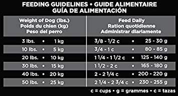 Eukanuba Adult Medium Breed Dry Dog Food, 16 lb - PAWPICO