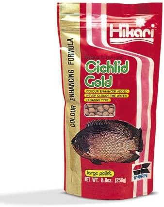 Hikari 8.8-Ounce Cichlid Gold Floating Pellets for Pets, Medium Hikari