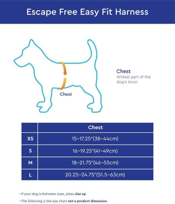 Gooby Escape Free Easy Fit Harness - Blue, Small - No Pull Step-in Patented Small Dog Harness with Quick Release Buckle - Perfect On The Go No Pull Harness for Small Dogs or Medium Dog Harness Gooby
