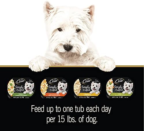 CESAR SIMPLY CRAFTED Adult Soft Wet Dog Food Cuisine Complement Variety Pack, (24) 1.3 oz Tubs - PAWPICO