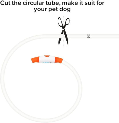 BSEEN LED Dog Collar, USB Rechargeable, Glowing pet Dog Collar for Night Safety, Fashion Light up Collar for Small Medium Large Dogs（Orange） BSEEN