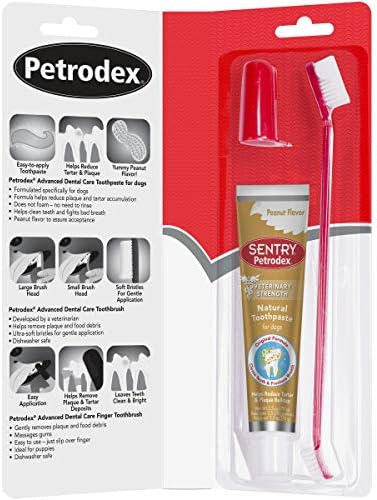 Petrodex Dental Care Kit for Dogs and Puppies, Cleans Teeth and Fights Bad Breath, Reduces Plaque and Tartar Formation, Enzymatic Tooth Brushing Kit, Peanut Flavor, 2.5oz Toothpaste + Toothbrush Petrodex