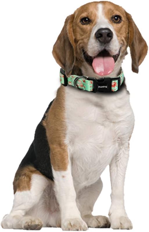 Ihoming Puppy Collar and Leash Set for Daily Outdoor Walking Running Training, Floral GreenLake Design for Extra Small Boys Girls Dogs Cats Pets, XS-Up to 10LBS Ihoming