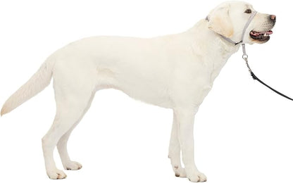 PetSafe Gentle Leader No-Pull Dog Headcollar - The Ultimate Solution to Pulling - Redirects Your Dog's Pulling for Easier Walks - Helps You Regain Control - Large, Silver PetSafe
