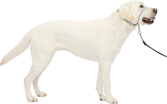 PetSafe Gentle Leader No-Pull Dog Headcollar - The Ultimate Solution to Pulling - Redirects Your Dog's Pulling for Easier Walks - Helps You Regain Control - Large, Silver PetSafe