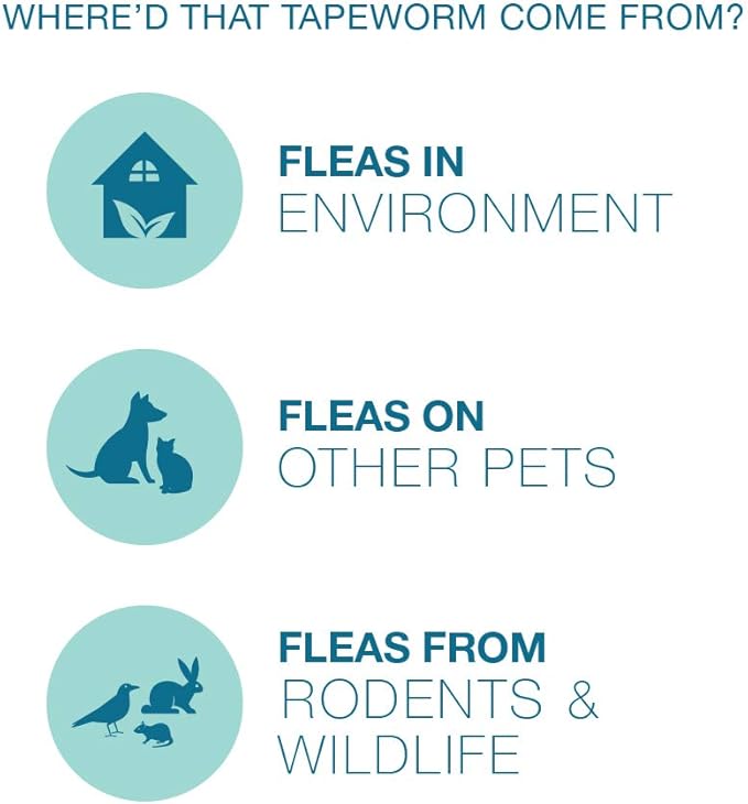 Elanco Tapeworm Dewormer (praziquantel tablets) for Cats and Kittens 6 Weeks and Older, 3-count Elanco