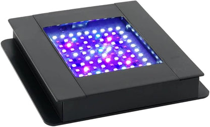 Fluval SEA Marine Nano LED Aquarium Lighting with Bluetooth, 20 Watts,Glass Fluval