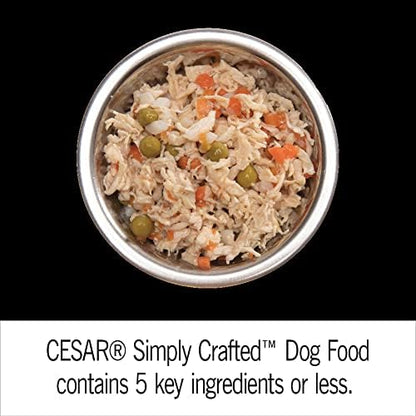 CESAR SIMPLY CRAFTED Adult Soft Wet Dog Food Cuisine Complement Variety Pack, (24) 1.3 oz Tubs - PAWPICO